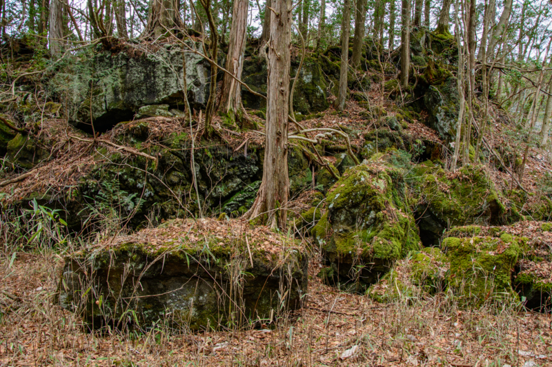 f:id:qshiro:20180324203309j:image:w360