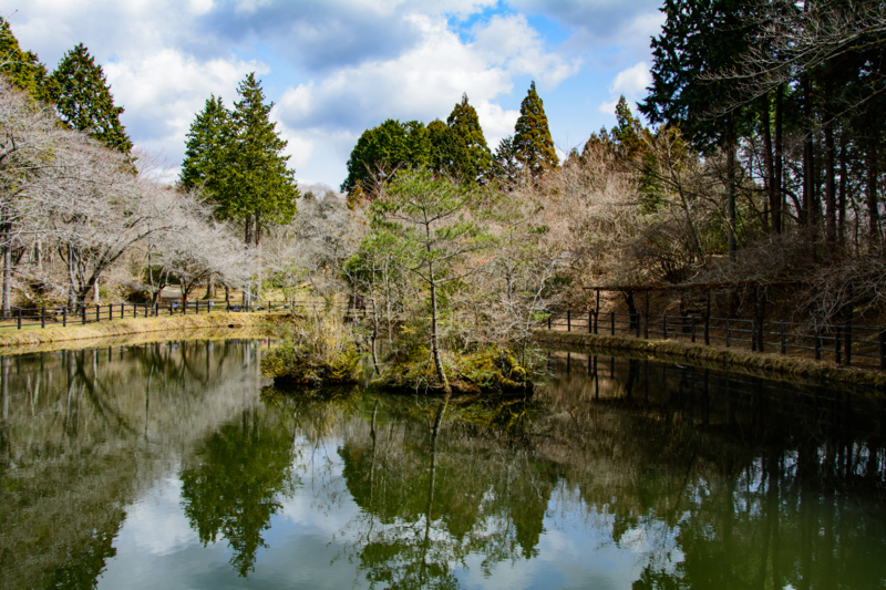 f:id:qshiro:20180325081054j:image:w360