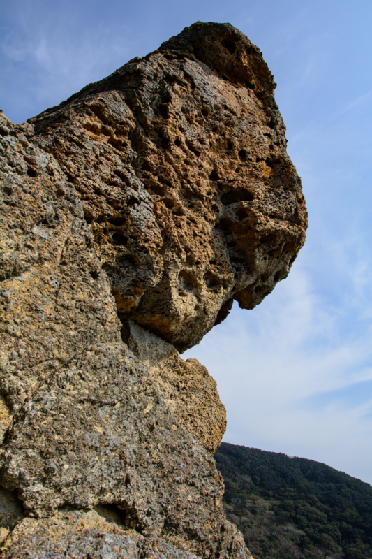 f:id:qshiro:20180327094014j:image:w260