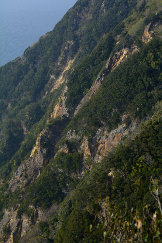 f:id:qshiro:20180327095458j:image:w260