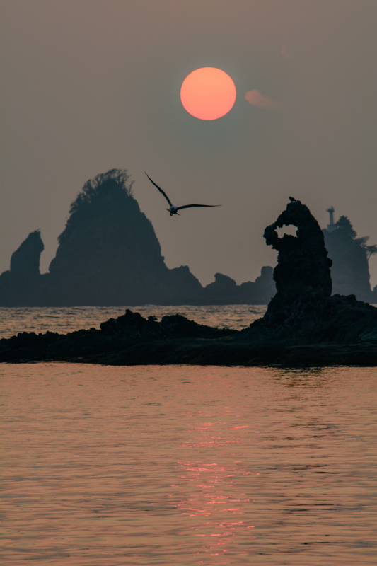 f:id:qshiro:20180327100118j:image:w260