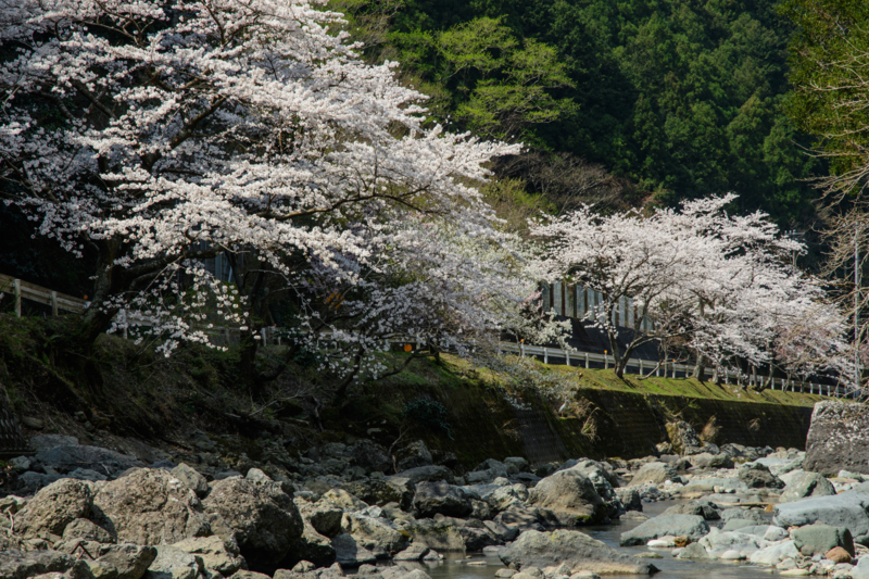 f:id:qshiro:20180327110937j:image:w360