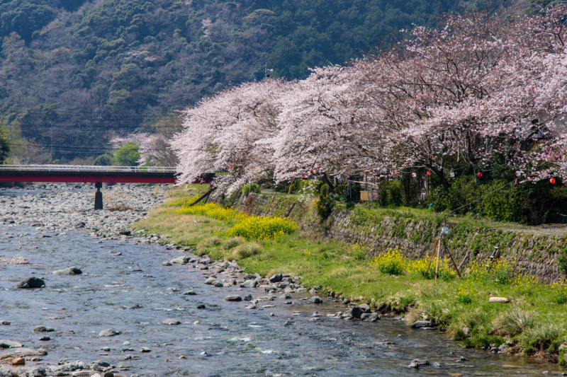 f:id:qshiro:20180327110944j:image:w360