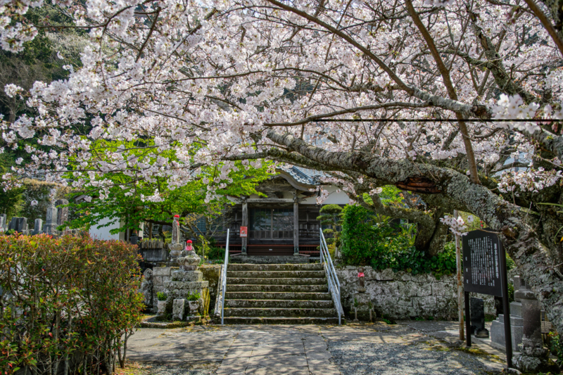 f:id:qshiro:20180327110951j:image:w360