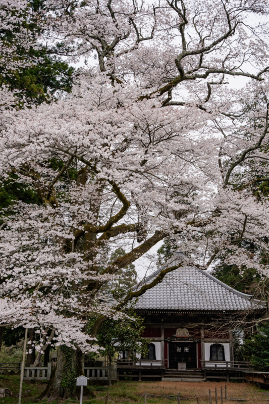 f:id:qshiro:20180327195349j:image:w260