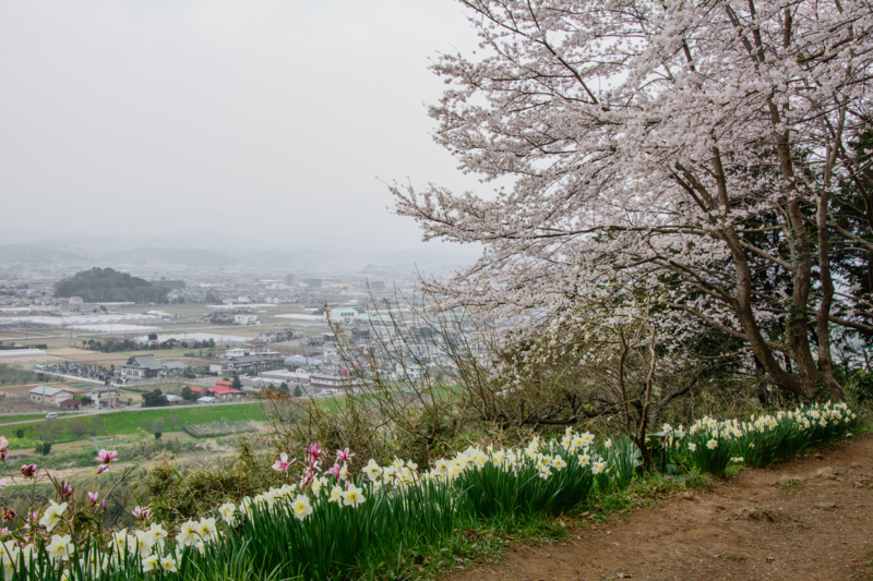 f:id:qshiro:20180327195415j:image:w360