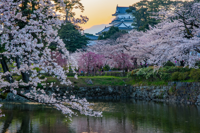 f:id:qshiro:20180329054944j:image:w360