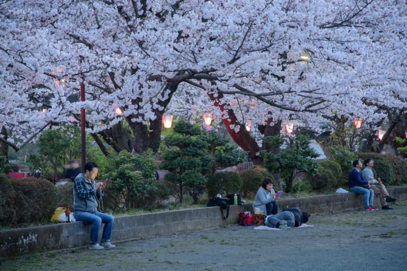 f:id:qshiro:20180329054958j:image:w360