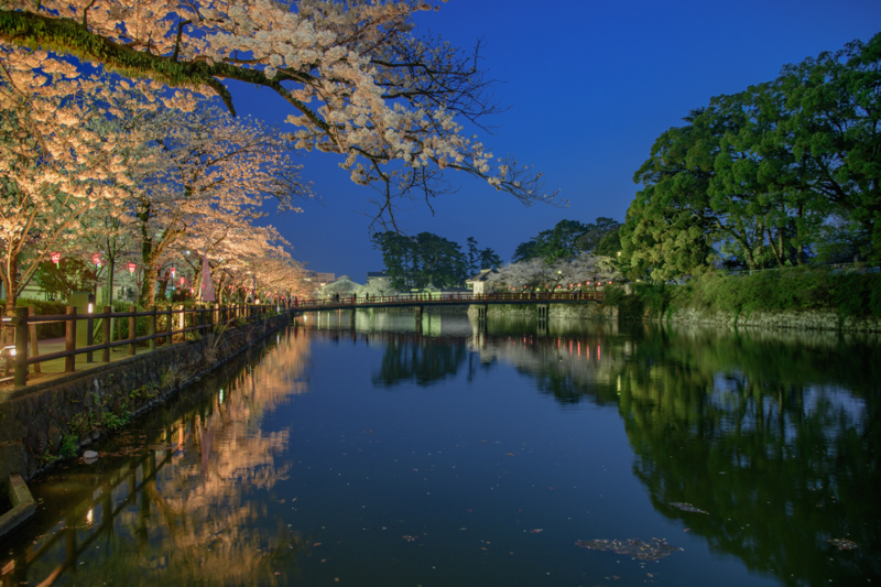 f:id:qshiro:20180329055005j:image:w360