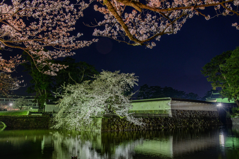 f:id:qshiro:20180329055056j:image:w360