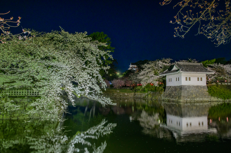 f:id:qshiro:20180329055103j:image:w360