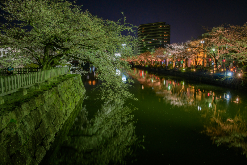 f:id:qshiro:20180329055123j:image:w360