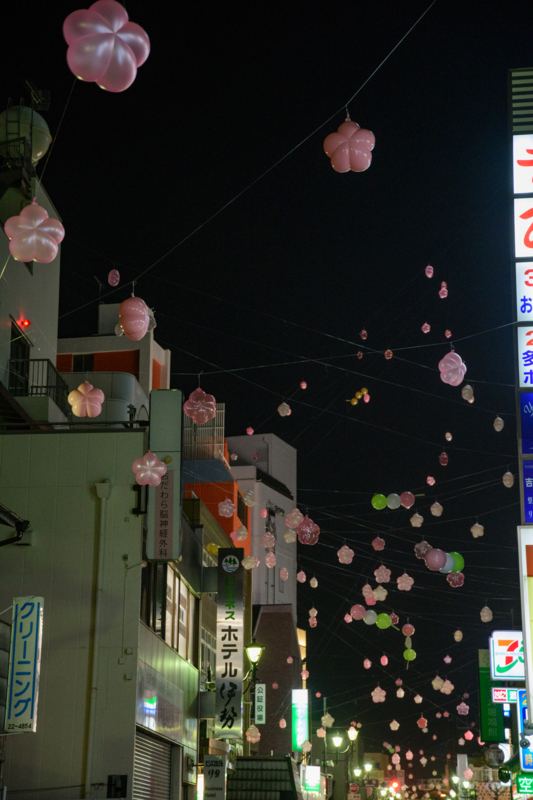 f:id:qshiro:20180329055140j:image:w260