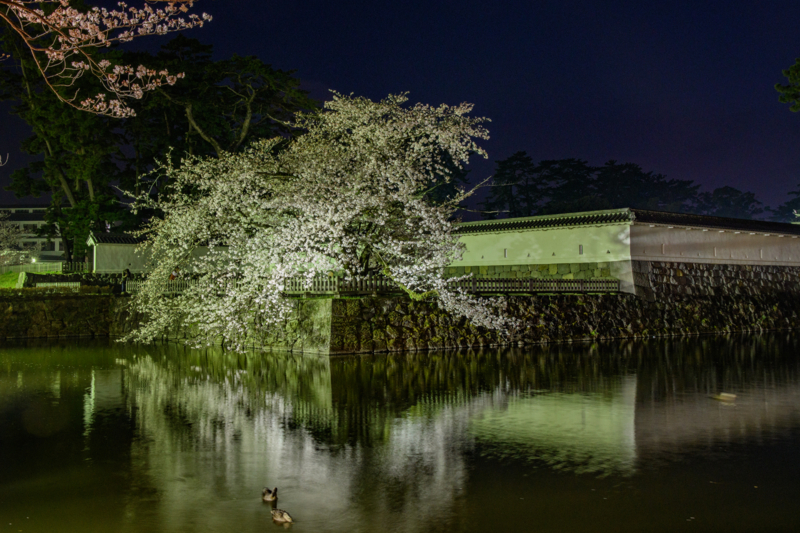 f:id:qshiro:20180329055902j:image:w360