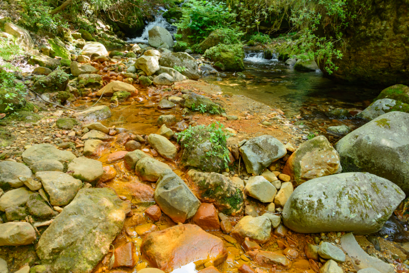 f:id:qshiro:20180501184900j:image:w360