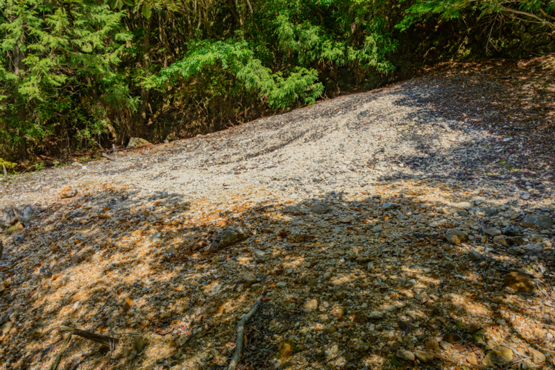 f:id:qshiro:20180501184908j:image:w360