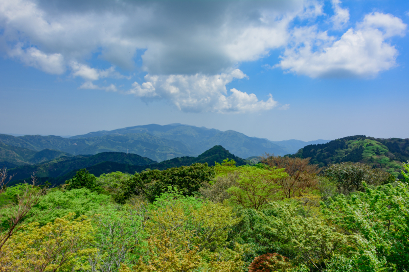 f:id:qshiro:20180501184916j:image:w360