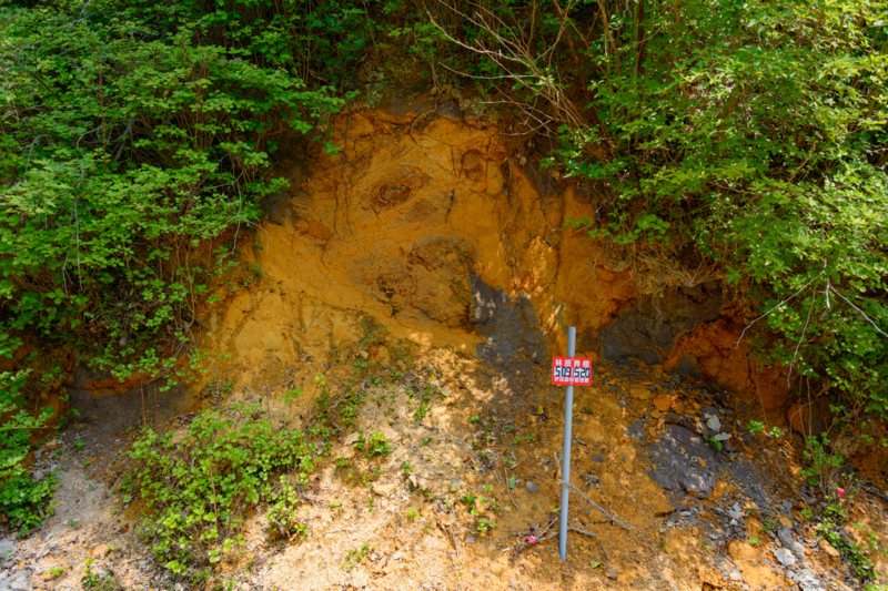 f:id:qshiro:20180501184923j:image:w360