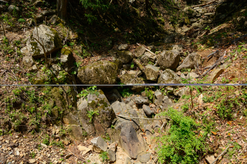 f:id:qshiro:20180501184930j:image:w360