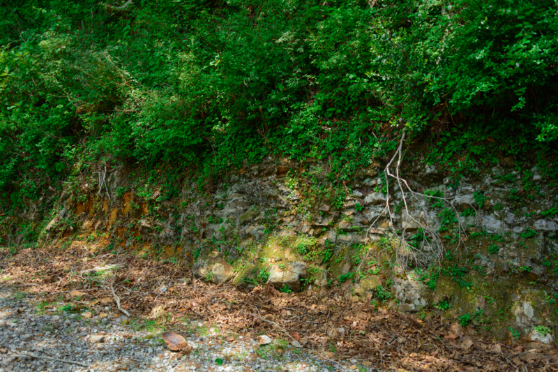 f:id:qshiro:20180501185034j:image:w360