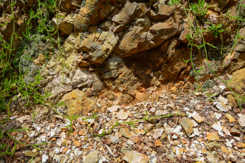 f:id:qshiro:20180501185111j:image:w360