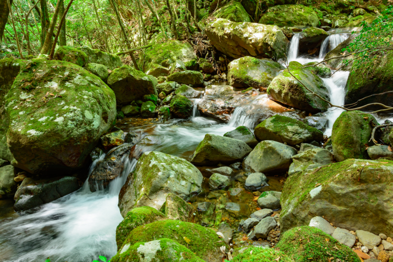 f:id:qshiro:20180501185122j:image:w360