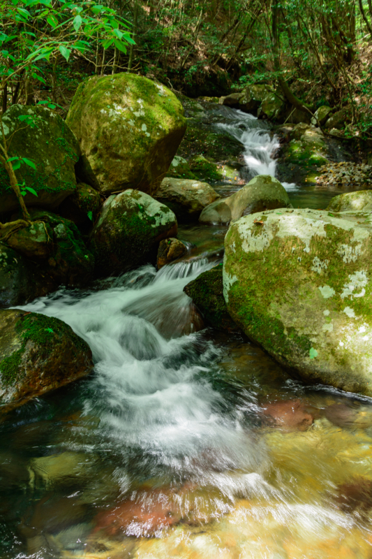 f:id:qshiro:20180501185437j:image:w260