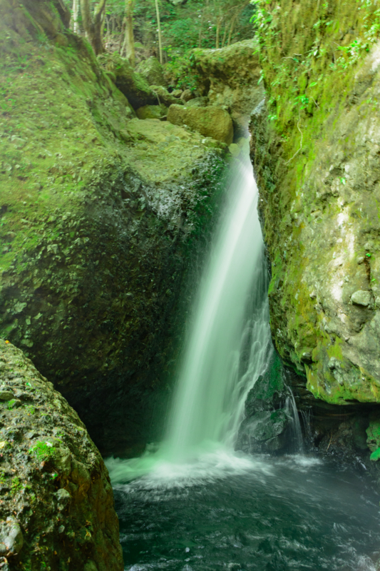 f:id:qshiro:20180501185445j:image:w260