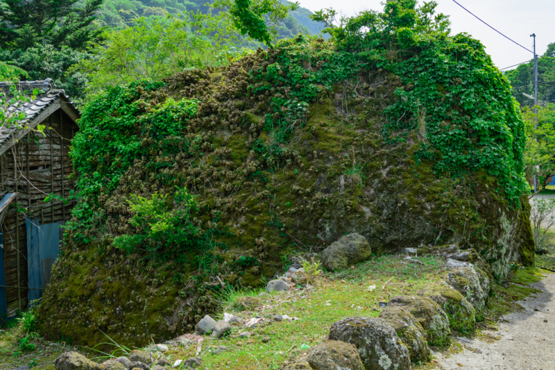 f:id:qshiro:20180501185458j:image:w360