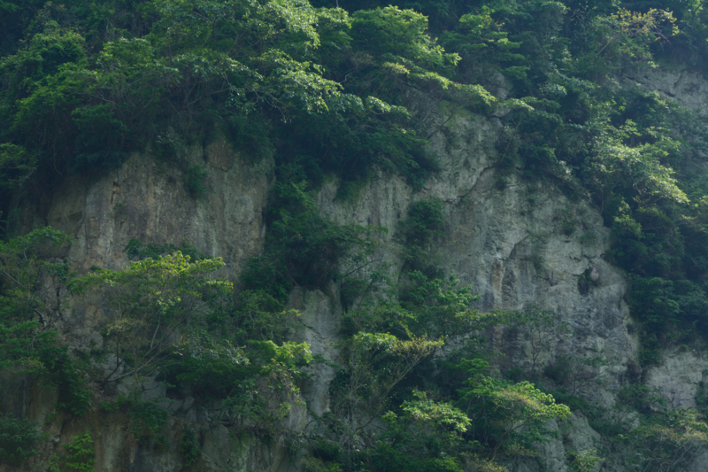 f:id:qshiro:20180501185509j:image:w360