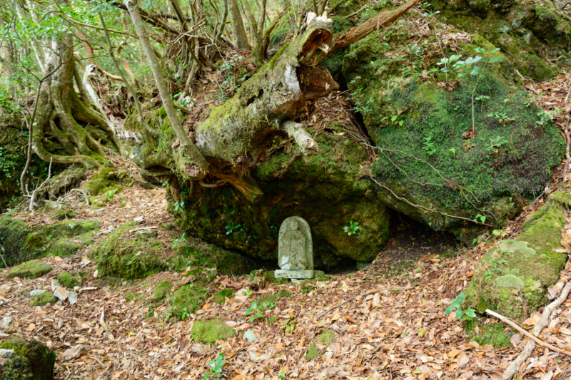 f:id:qshiro:20180501190552j:image:w360