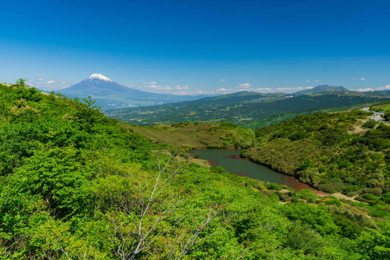 f:id:qshiro:20180504215412j:image:w360