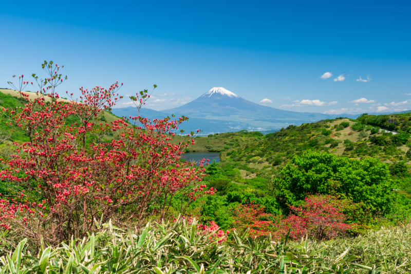 f:id:qshiro:20180504215544j:image:w360