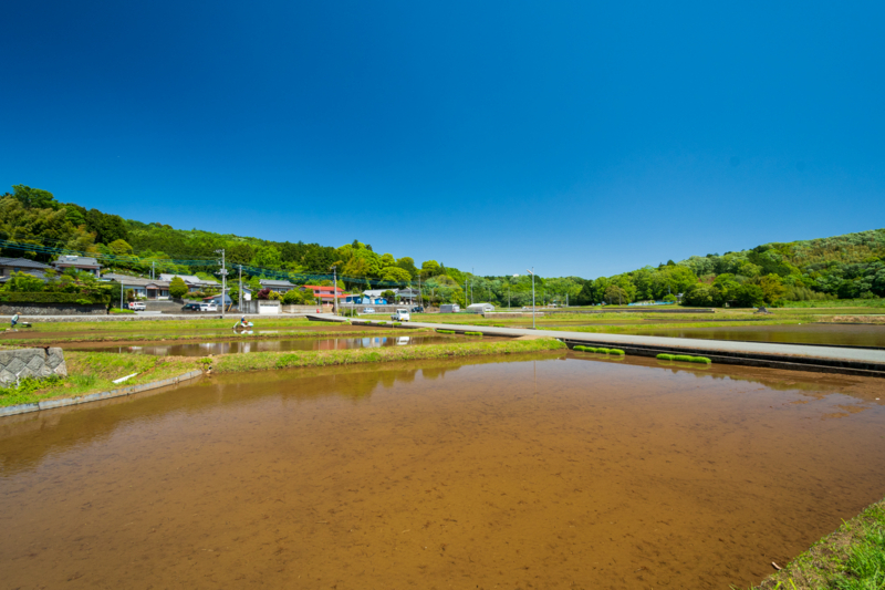 f:id:qshiro:20180504215608j:image:w360