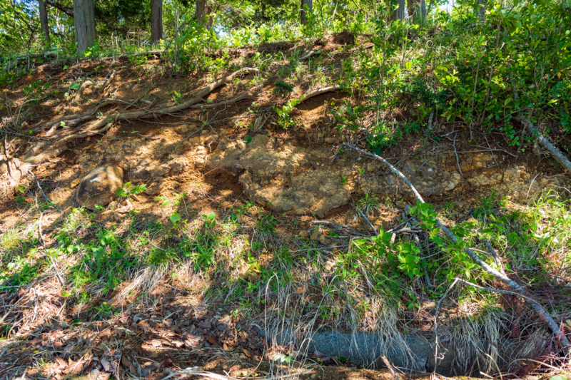 f:id:qshiro:20180504215740j:image:w360