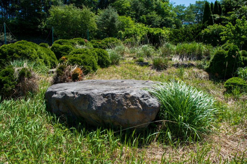 f:id:qshiro:20180504215748j:image:w360