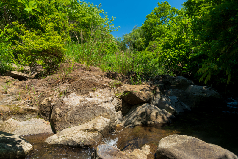 f:id:qshiro:20180504215755j:image:w360