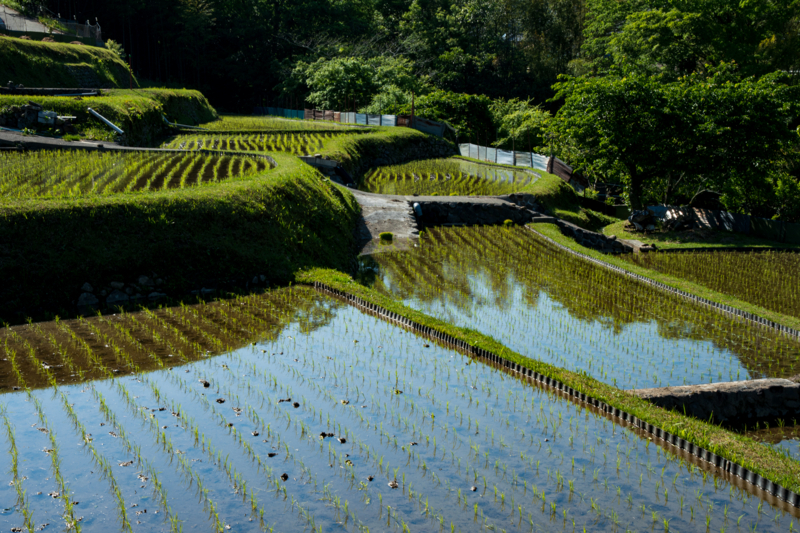 f:id:qshiro:20180504220059j:image:w360