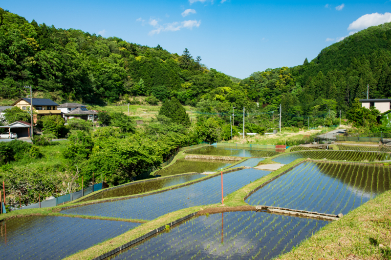 f:id:qshiro:20180504220106j:image:w360