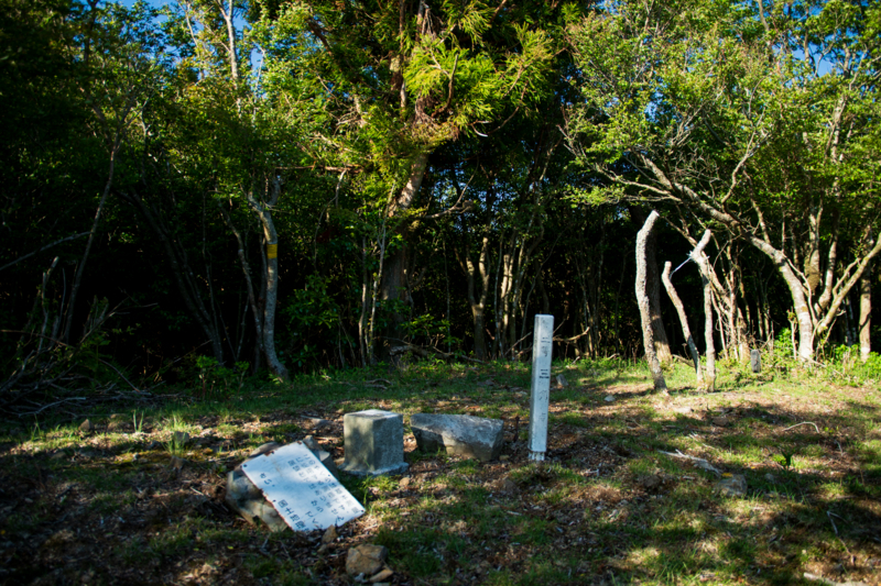 f:id:qshiro:20180504220154j:image:w360