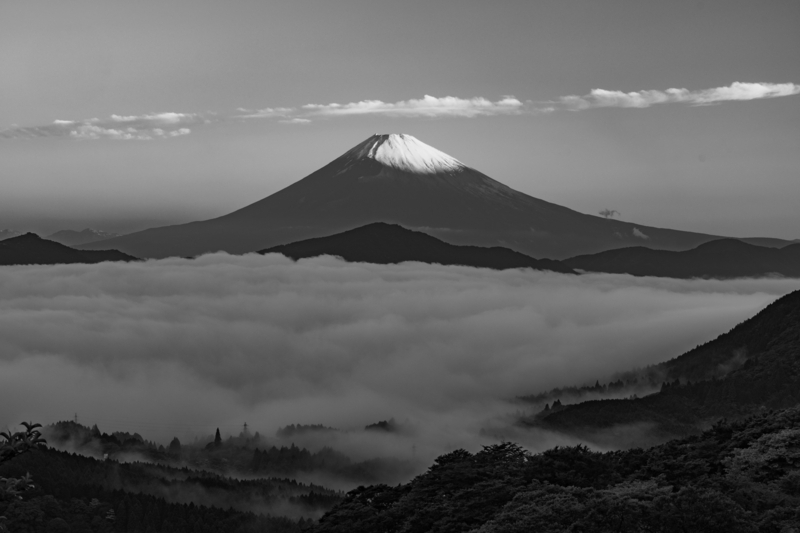 f:id:qshiro:20180601135426j:image:w360