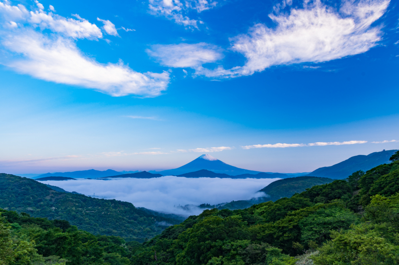 f:id:qshiro:20180601135434j:image:w360