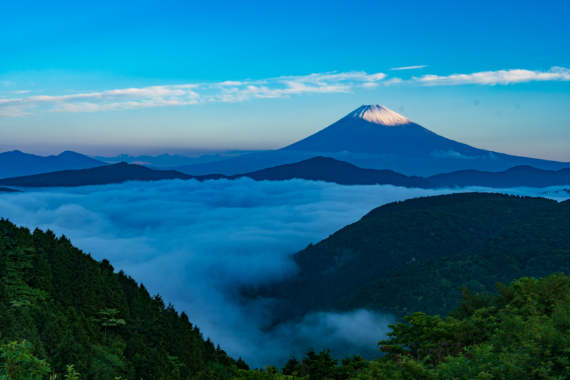 f:id:qshiro:20180601135450j:image:w360