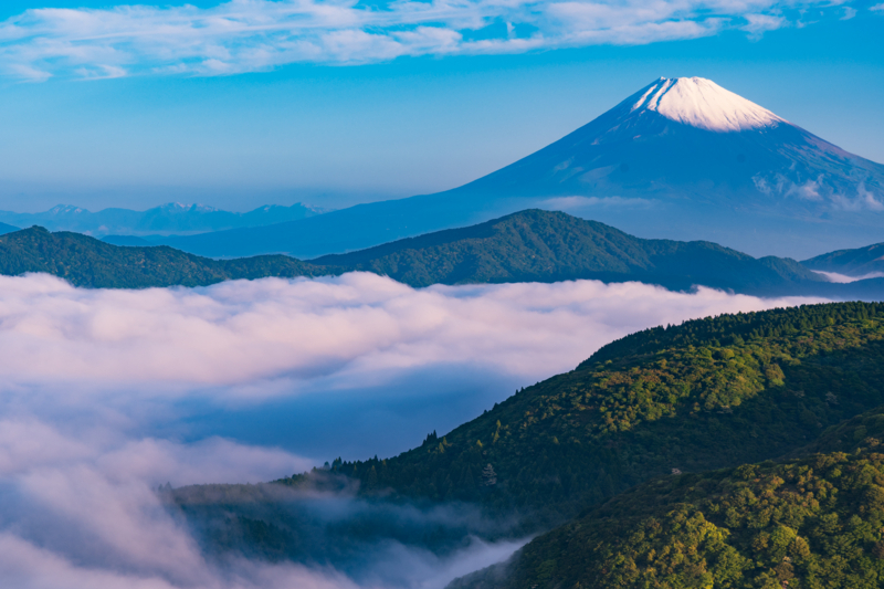 f:id:qshiro:20180601135521j:image:w360