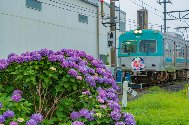 f:id:qshiro:20180610193157j:image:w360