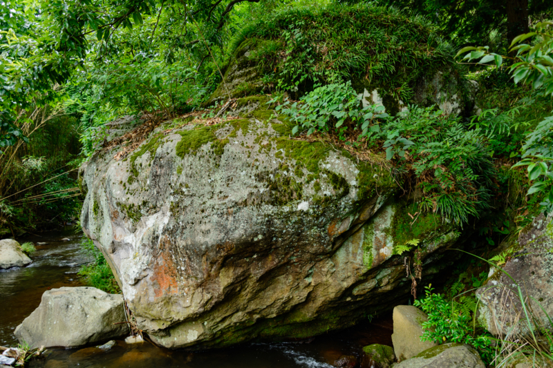 f:id:qshiro:20180626193321j:image:w360