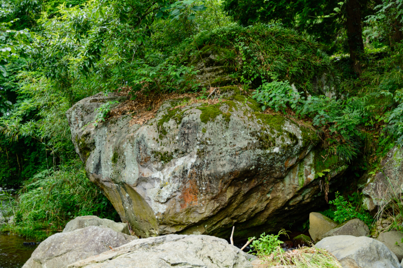 f:id:qshiro:20180626193322j:image:w360