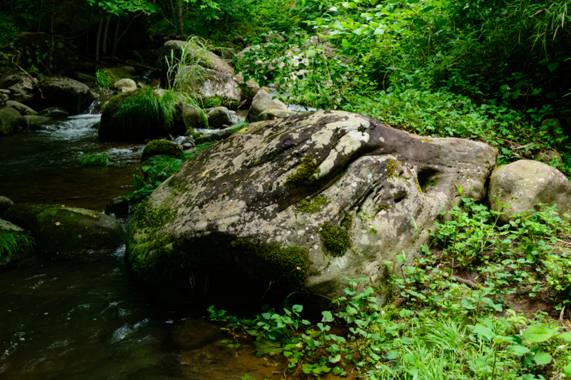 f:id:qshiro:20180626193323j:image:w360