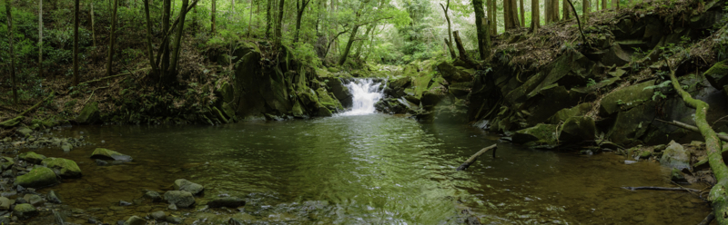 f:id:qshiro:20180626193325j:image:w740