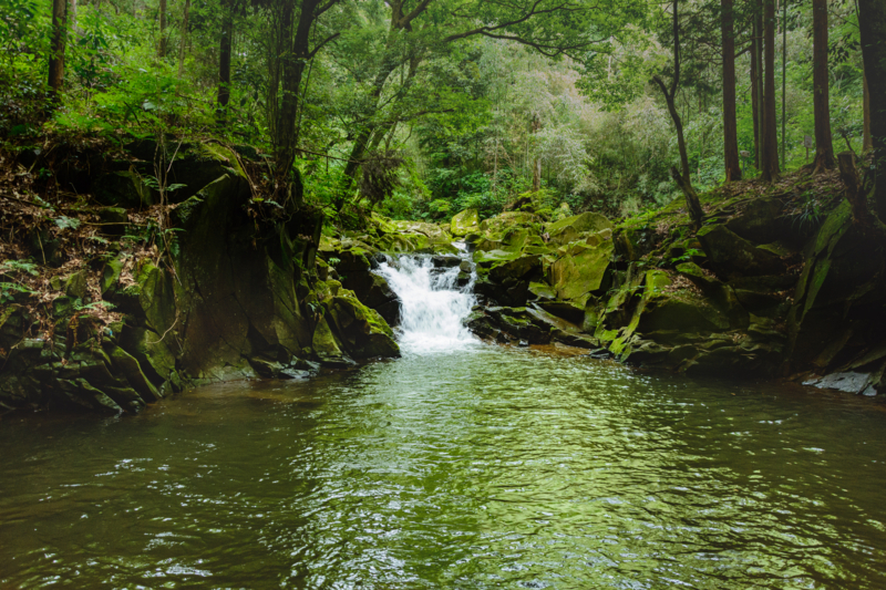 f:id:qshiro:20180626193326j:image:w360